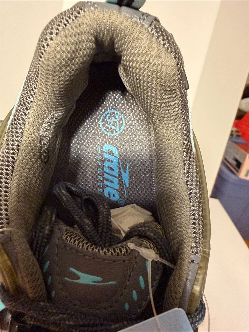 Crane Men's Gray Athletic Trail Shoes with Teal Accents